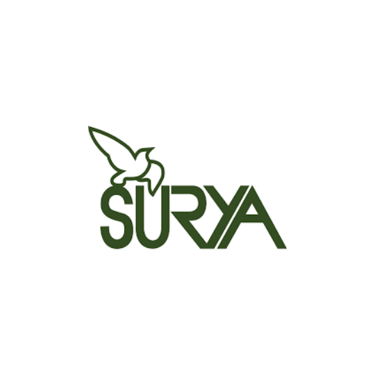 Copia de salud 360 logo (6)